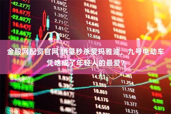 金股网配资官网 销量秒杀爱玛雅迪，九号电动车凭啥成了年轻人的最爱？