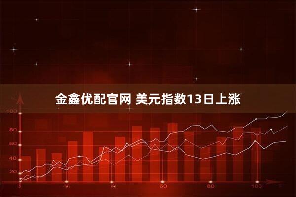 金鑫优配官网 美元指数13日上涨