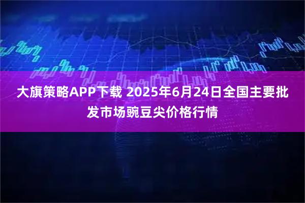 大旗策略APP下载 2025年6月24日全国主要批发市场豌豆尖价格行情