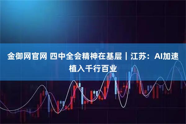 金御网官网 四中全会精神在基层｜江苏：AI加速植入千行百业