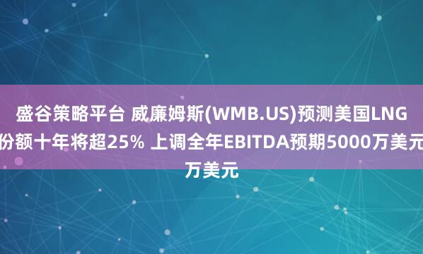 盛谷策略平台 威廉姆斯(WMB.US)预测美国LNG份额十年将超25% 上调全年EBITDA预期5000万美元