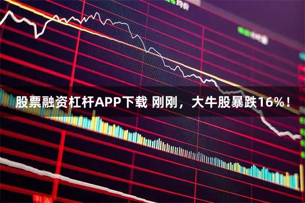 股票融资杠杆APP下载 刚刚，大牛股暴跌16%！
