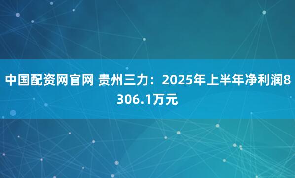 中国配资网官网 贵州三力：2025年上半年净利润8306.1万元